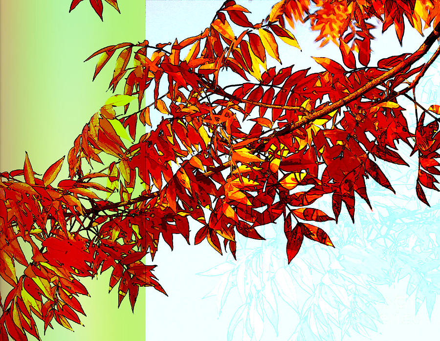 Fall Leaves Colors Digital Art by Hao Aiken
