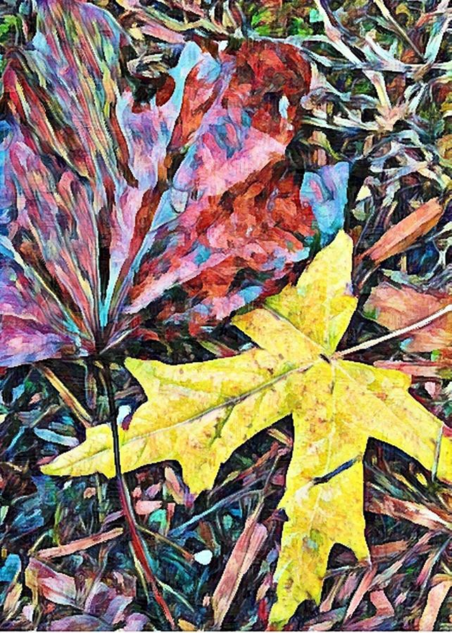 Fall Leaves Impressionistic Digital Art by Mary Pille