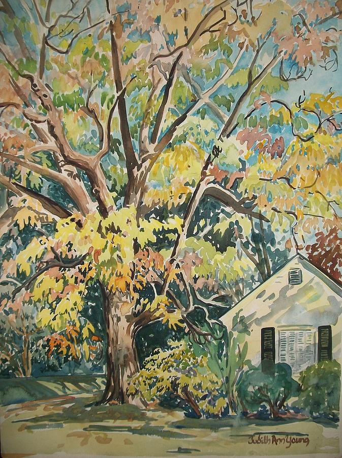 Fall Leaves on Ridge Ave Painting by Judith Young