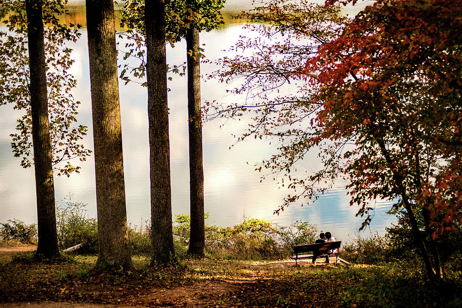 Fall Lovers Photograph by Don Johnson