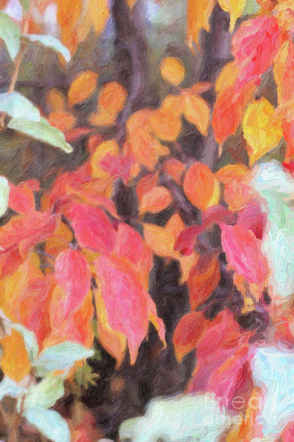 Fall Low Branches Digital Art by Donna L Munro