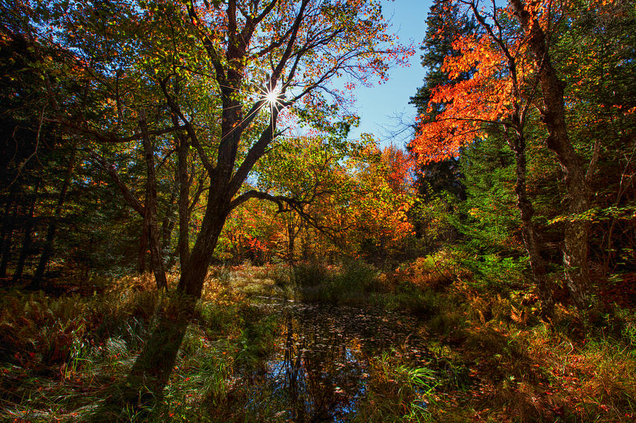 Fall Meadow And Sunburst Photograph by Irwin Barrett