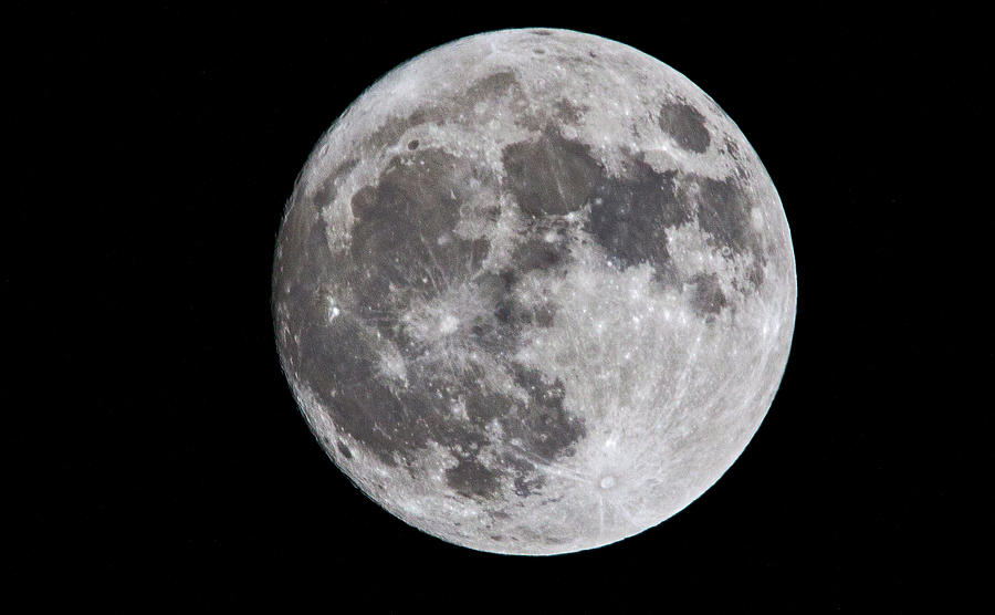 November Moon Photograph by Ira Marcus