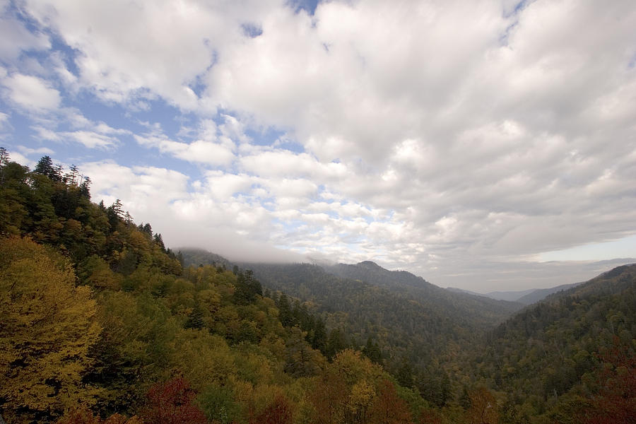 Fall morning at Oconaluftee Overlook Photograph by Harold Stinnette