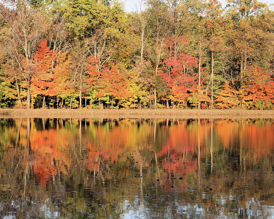 Fall Morning In Floyds Knobs Photograph by Fred Ann Bremer - Fine Art ...