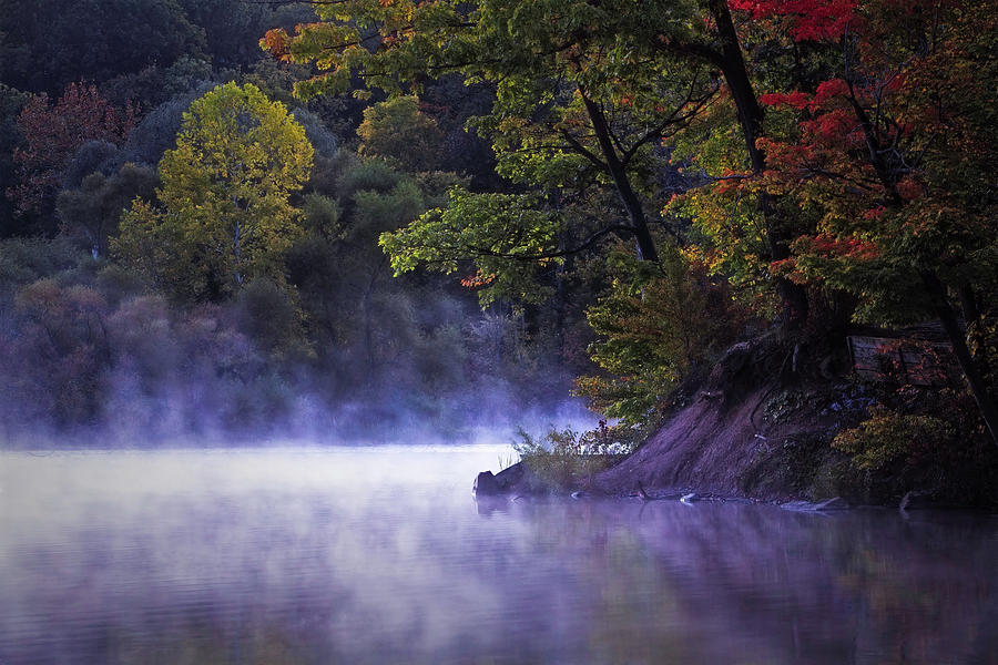 Fall Morning Photograph by Jackie Sajewski