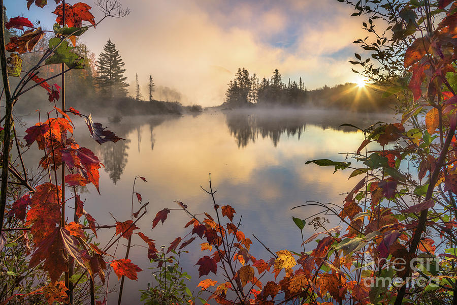 Fall Morning on the Pond Photograph by Benjamin Williamson