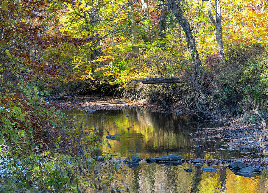 Fall Morning Photograph by Paul Ross Fall Morning Photograph by Paul Ross