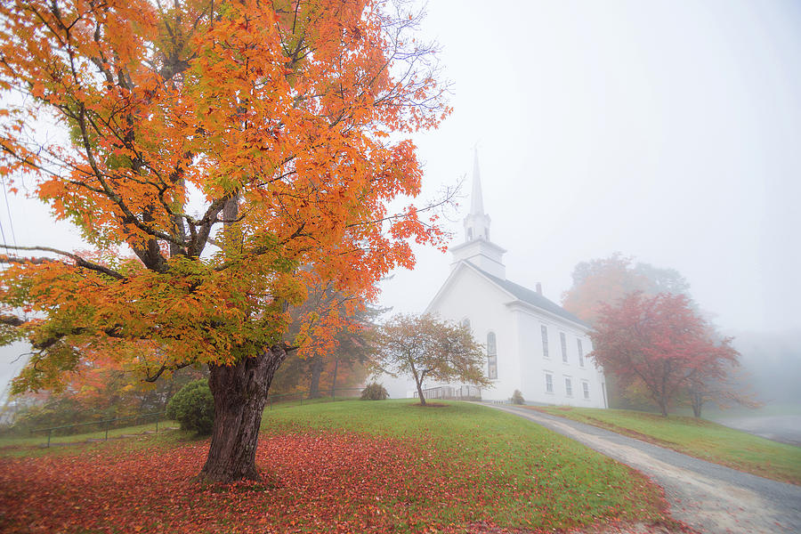 Fall Morning Photograph by Tim Kirchoff