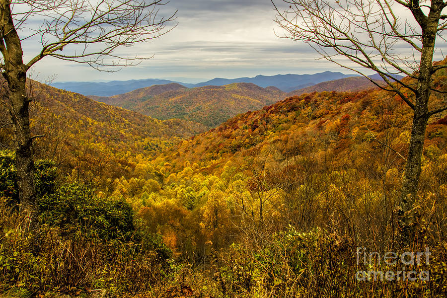Fall Mountain Overlook Photograph by Barbara Bowen