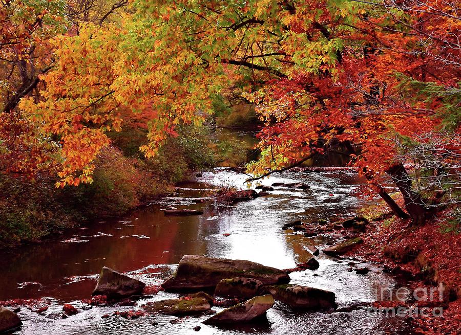 Fall Mountain Stream 02442 Photograph by Anna Gibson - Fine Art America