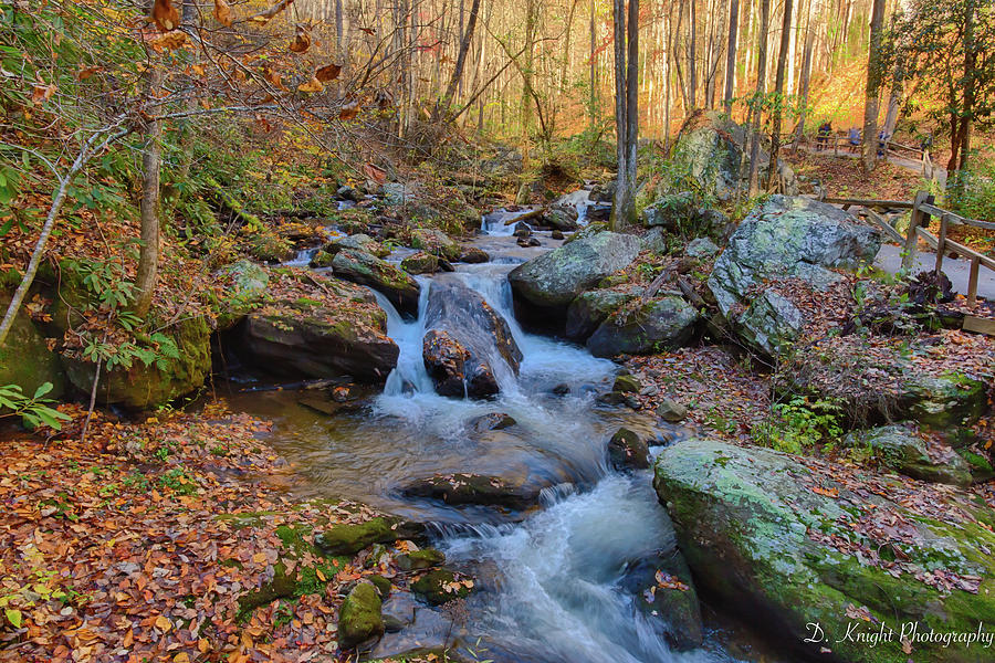 Fall Mountain Stream 2 Photograph by Dillon Kalkhurst