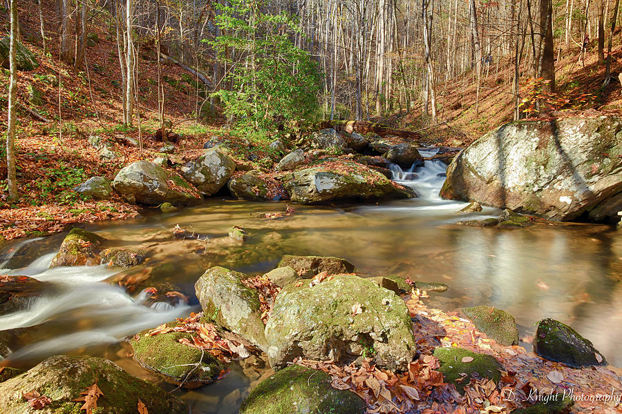 Fall Mountain Stream Photograph by Dillon Kalkhurst