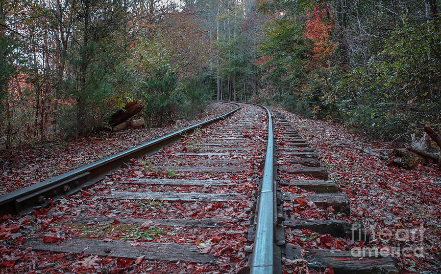Fall Mountain Tracks Photograph by Tom Claud