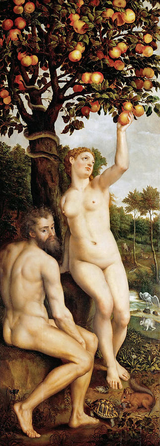 Fall of Man Painting by Michiel Coxcie Fall of Man Painting by Michiel Coxcie