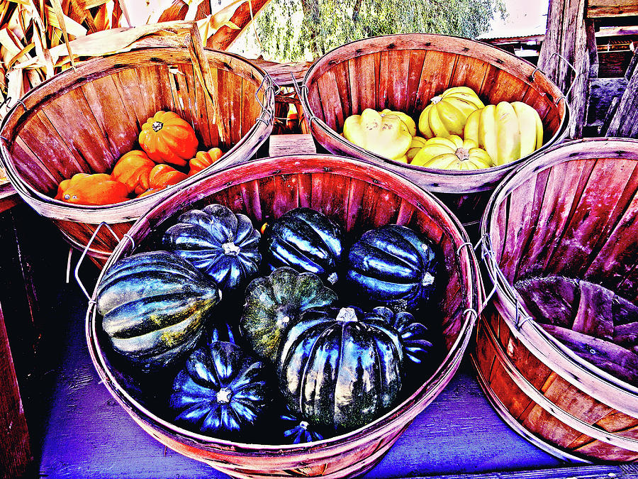 Fall Offering by Pacific Northwest Imagery Fall Offering by Pacific Northwest Imagery