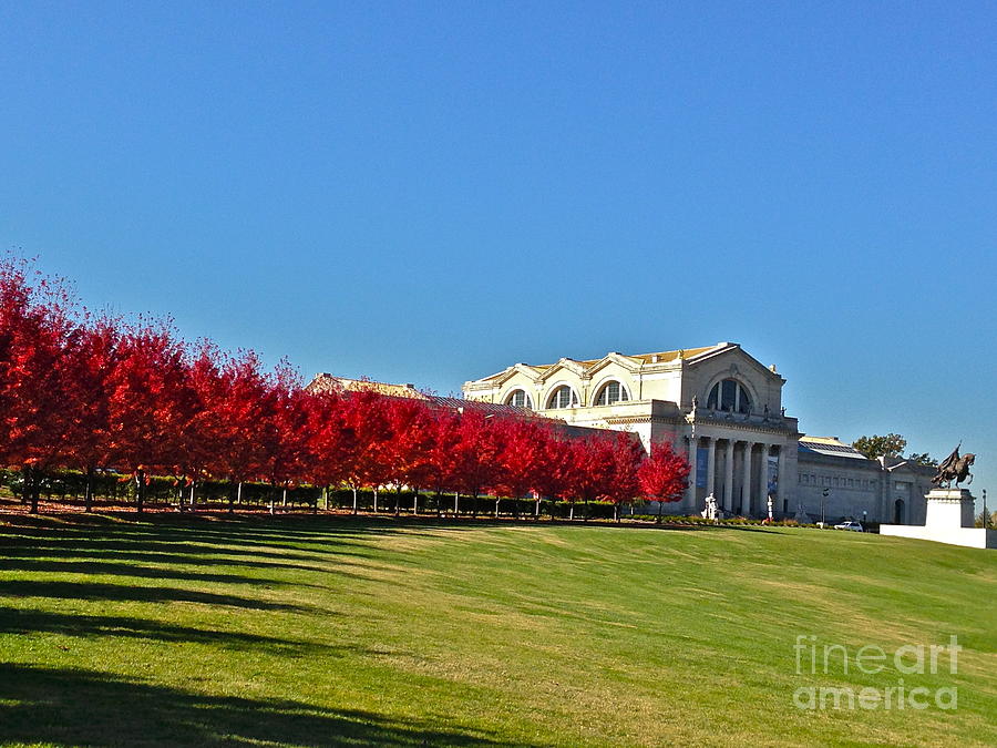 Tree Photograph - Fall On Art Hill With St Louis by Debbie Fenelon