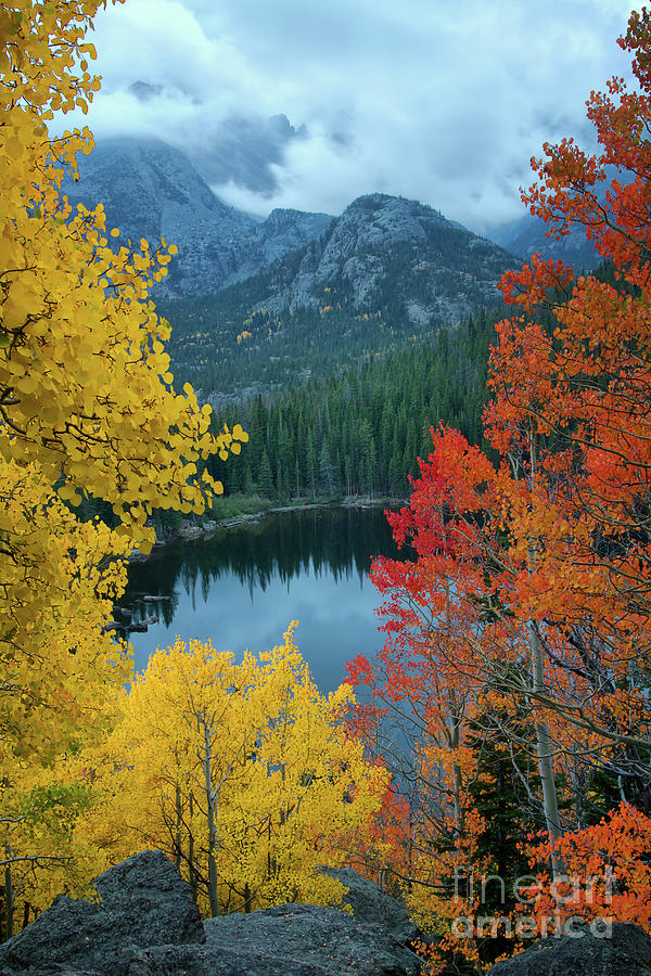 Fall on Bear Lake Photograph by Ronda Kimbrow