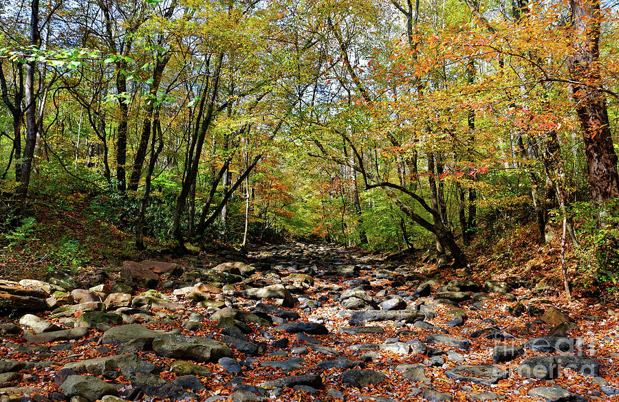 Fall On Clifty Creek Photograph by Paul Mashburn