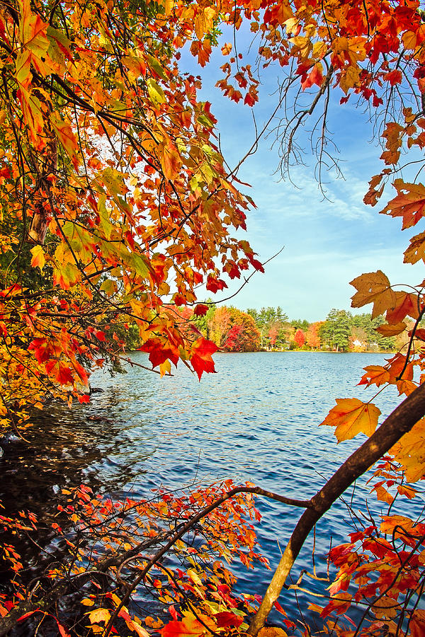 Fall on Lake Opechee Photograph by Robert Clifford