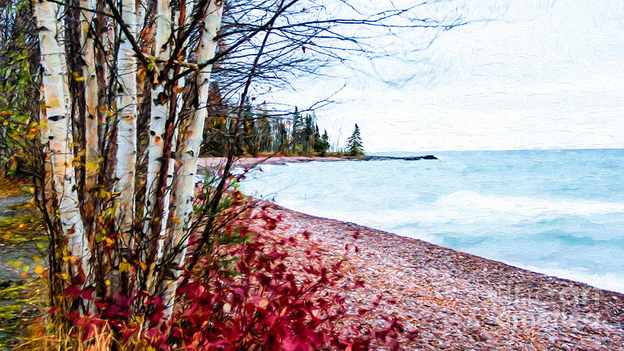 Fall on Lake Superior Photograph by Lori Dobbs