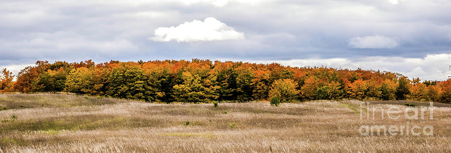 Fall on Lautner Land Photograph by Grace Grogan