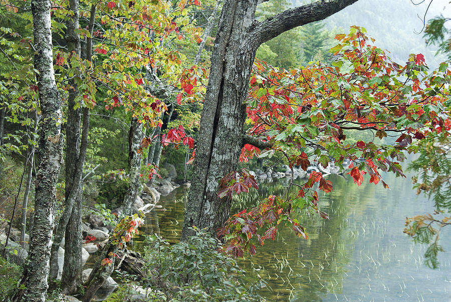 Fall Photograph - Fall on Long Pond by Jack Goldberg
