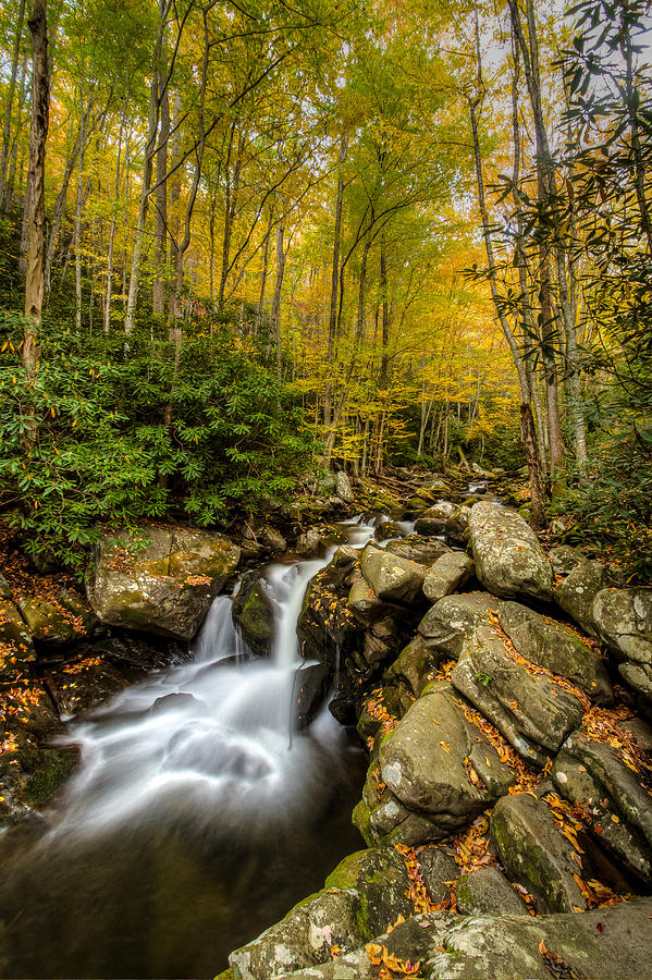 Fall on Middle Prong Little River Photograph by Kenny Mckeithan - Fine ...