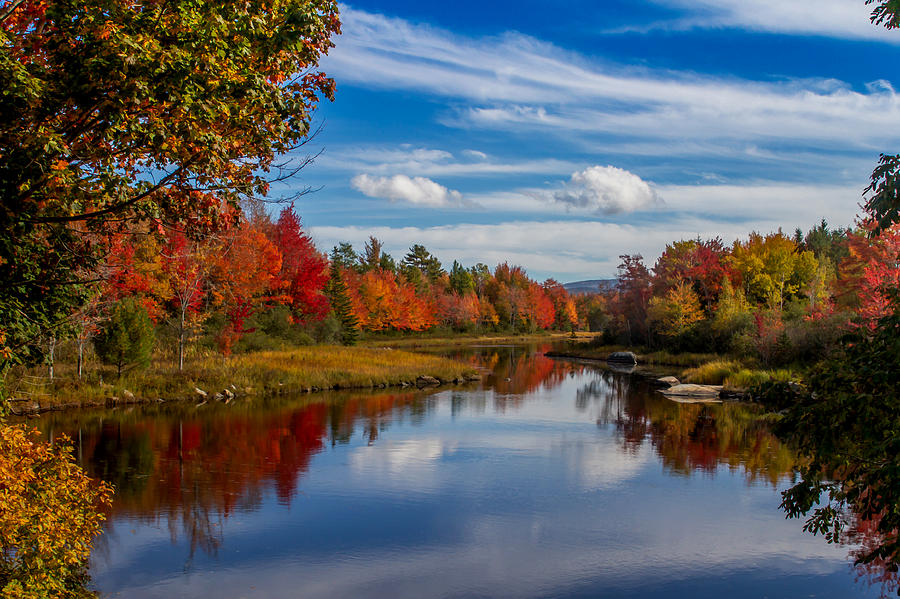 Fall on Mt. Desert Island Photograph by Jack Zievis - Fine Art America