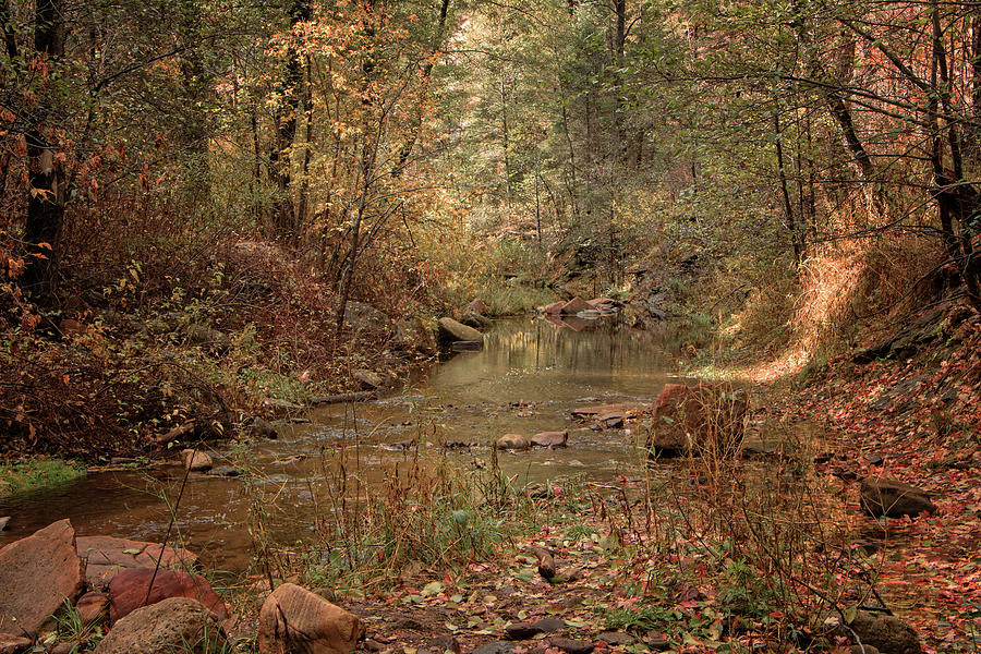 Fall on Oak Creek Photograph by Teresa Wilson