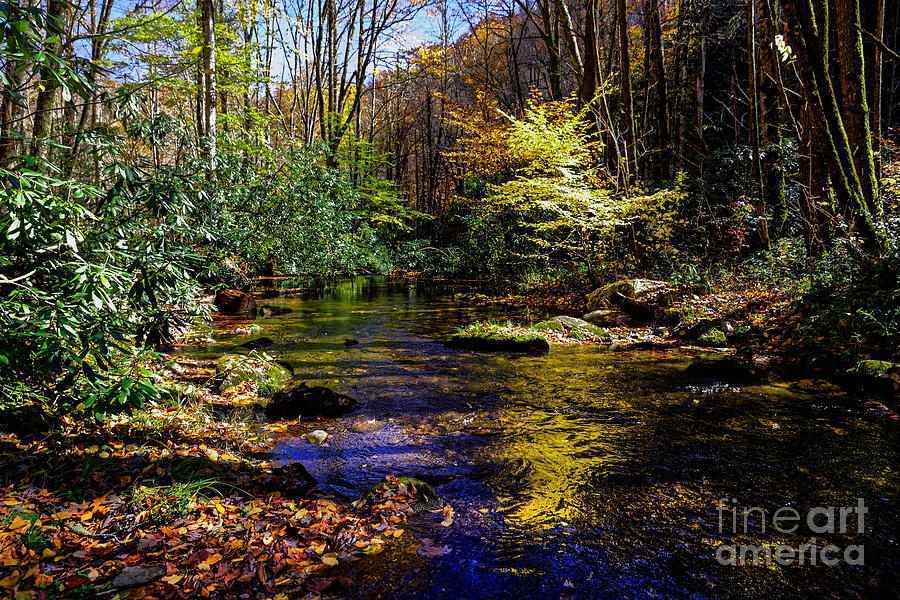 Fall On Rough Creek Photograph by Paul Mashburn