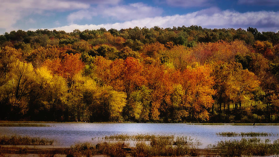 Fall on Springfield Lake Photograph by Allin Sorenson