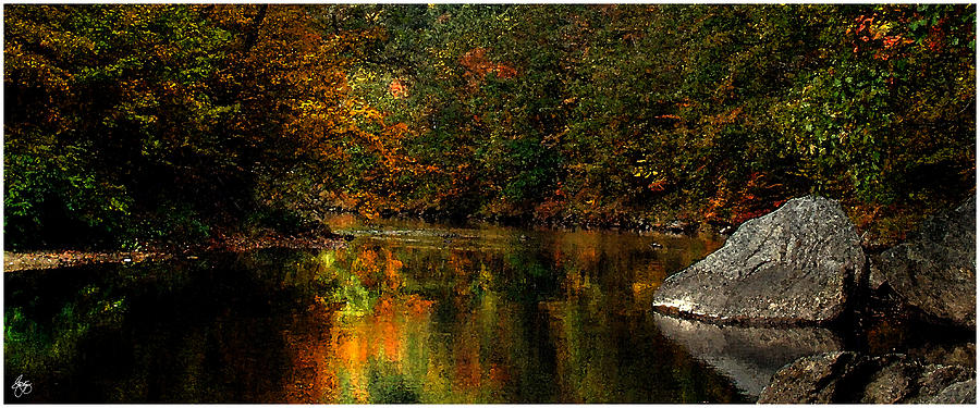 Fall on the Baker Photograph by Wayne King