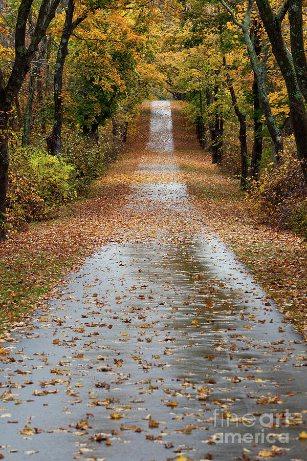 Fall on the Bike Path Photograph by Butch Lombardi