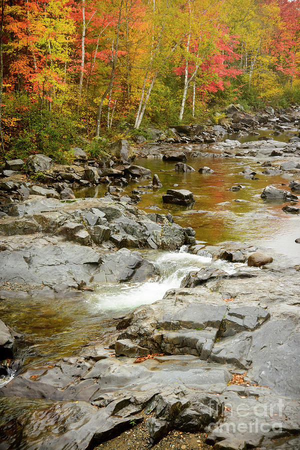 Fall on the Carrabassett River Photograph by Alana Ranney