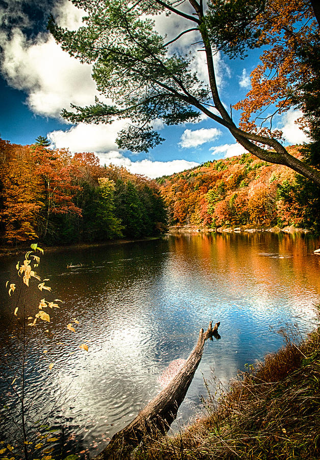 Fall on the Clarion River Photograph by Bill Kemp - Fine Art America