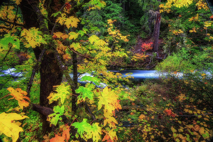 Fall on the Deschutes Photograph by Cat Connor