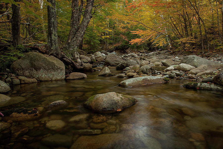 Fall on the Gale River Photograph by Benjamin Dahl