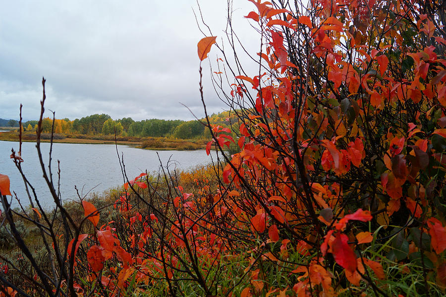 Fall on the lake by Broderick Delaney Fall on the lake by Broderick Delaney