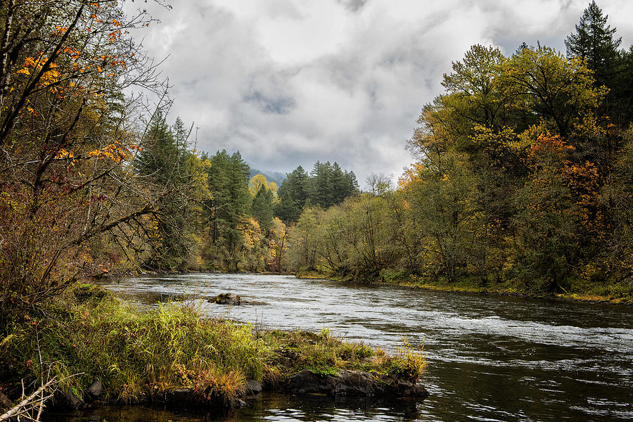 Fall on the McKenzie River Photograph by Belinda Greb