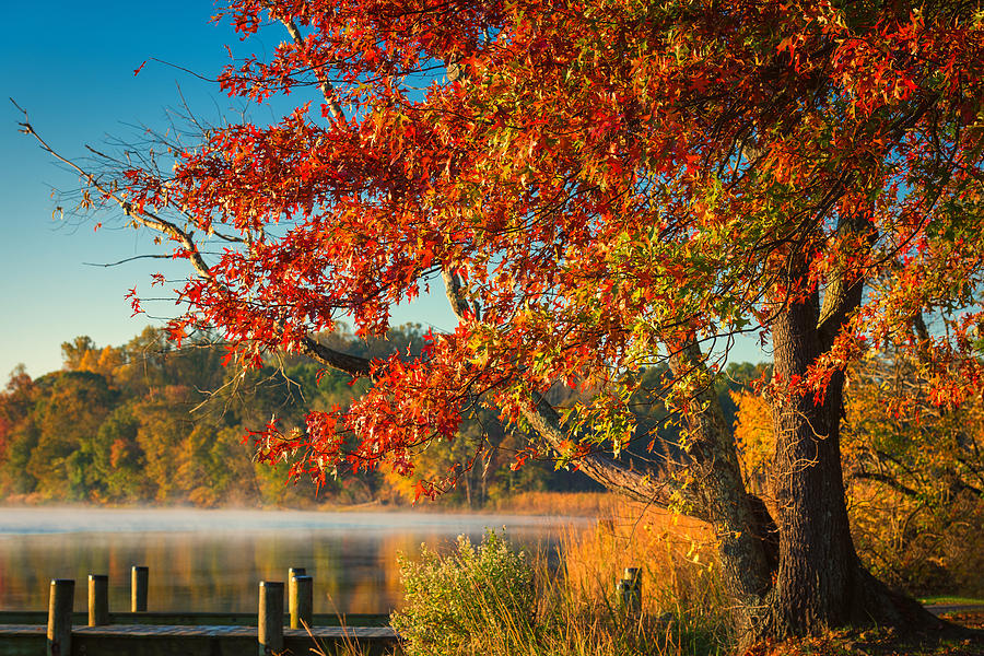 Fall on the Patuxent Photograph by Cindy Lark Hartman