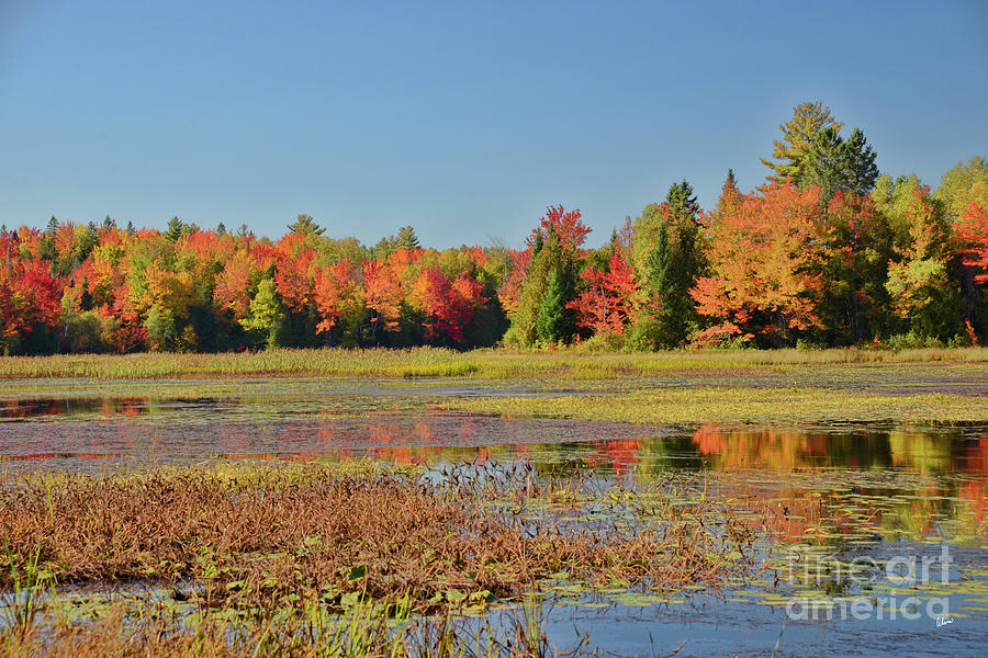 Fall on the Pond Photograph by Alana Ranney