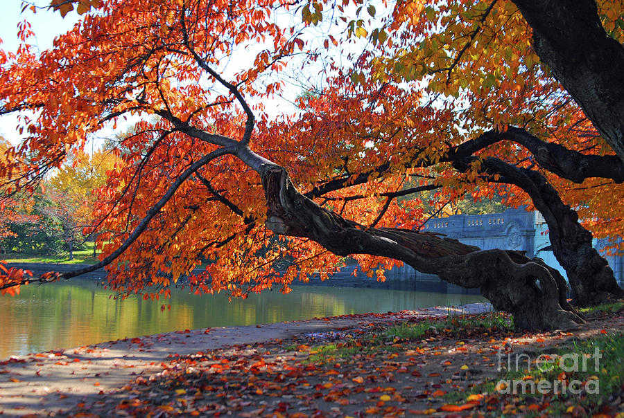 Fall on the Potomac Photograph by Jost Houk