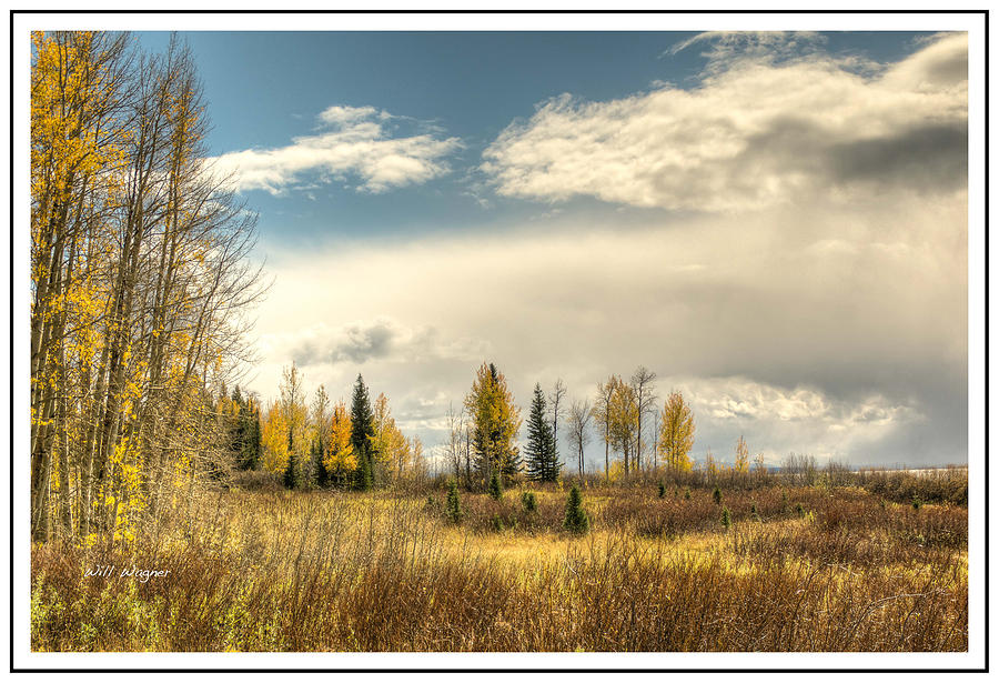Fall On The Prairie Photograph by Will Wagner