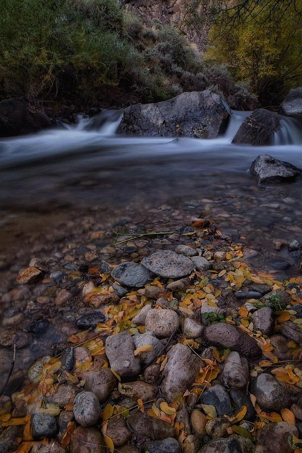 Mountain Photograph - Fall on the Rio Hondo by Tanner Williams