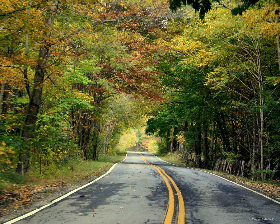 Fall on the road Photograph by Susan Hawk - Fine Art America