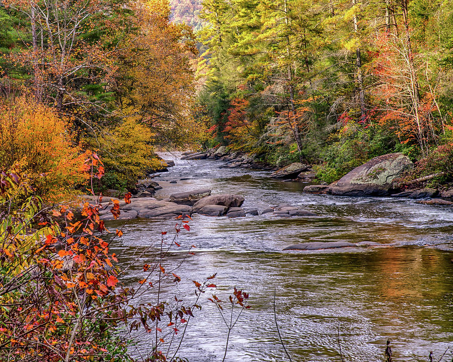 Fall on the Toccoa River Photograph by Jim Erickson - Fine Art America