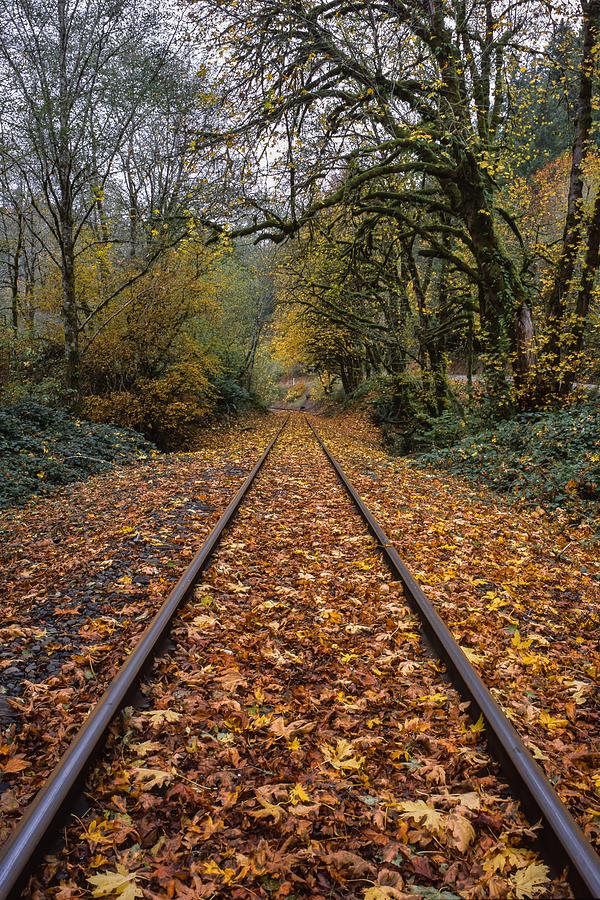 Fall on the Tracks Photograph by HW Kateley