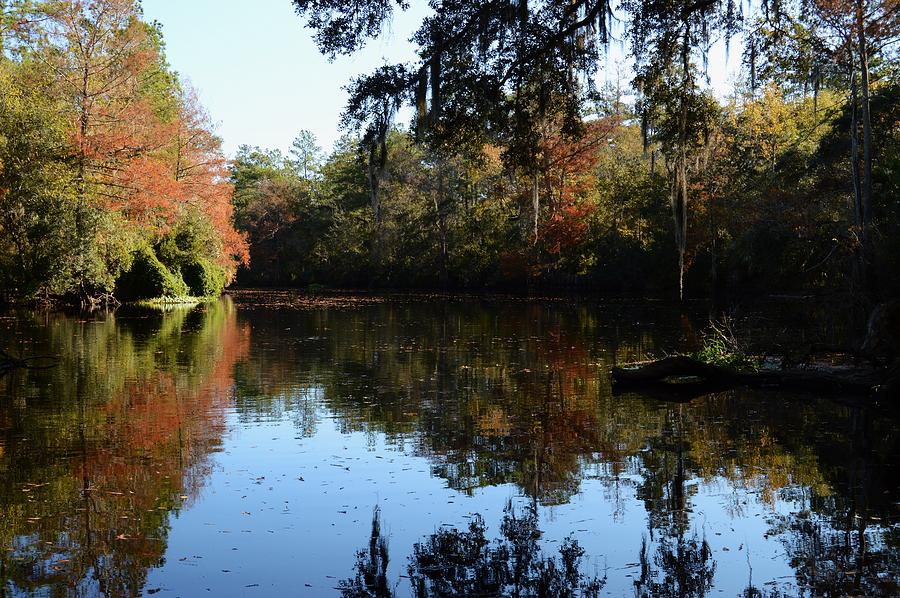 Fall On The Withlacoochee Photograph by Warren Thompson