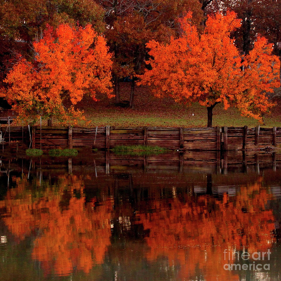 Fall on Toledo Bend Photograph by Michael Tidwell